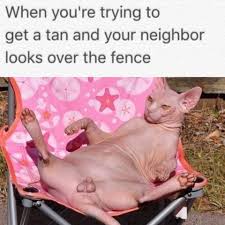 porn webm - 4archive