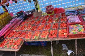 A pasar malam is a street market in indonesia, malaysia, brunei and singapore that opens in the evening, usually in residential neighbourhoods. Buah Strawberry Pasar Malam Tanah Rata Xplorasi Destinasi