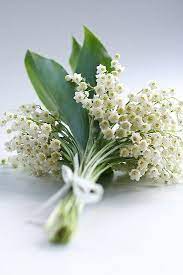 Rosa, lilla, bianchi, celeste, viola. The Bride S Cafe Onlycutes Via Oldasimek Fiori Foto Di Fiori Mazzo Di Fiori