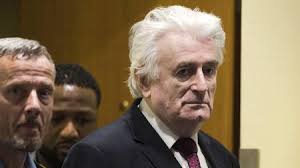 He was in charge of part of the bosnian genocide. Un Tribunal Radovan Karadzic Zu Lebenslanger Haftstrafe Verurteilt Zeit Online
