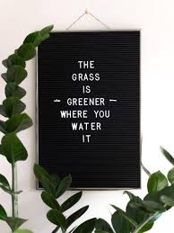 The Grass Is Greener Where You Water It Message Board Quotes Inspirational Quotes Words
