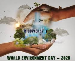 World environment day is held each year on june 5. World Environment Day June 5 2020 Ahgingos