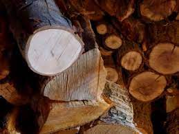 Best smelling wood for fire pit. The Best Firewood For Burning Hgtv