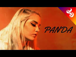 TOP 5 COVERS of PANDA