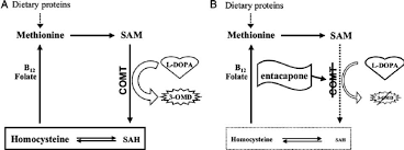 Image result for COMT Inhibitor