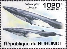 Stamp Balaenoptera Physalus Burundi Whales Mi Bi 2039 Sn Bi 858 Bel Bi 1239 Sellos Sellos De Correos Filatelia