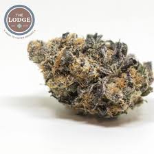 Corso obbligatorio di 25 ore sul sostegno per i docenti. Raspberry Cookies Strain Review The Lodge Cannabis Denver
