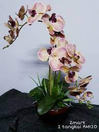 We did not find results for: Gubahan Bunga Orkid Tiruan Artificial Orchid Flower Latex Home Furniture Home Decor On Carousell