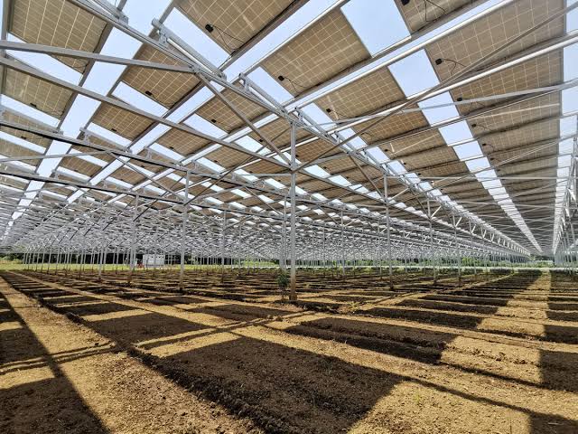 Japan releases new guidelines for agrivoltaics as installations hit 200 MW  – pv magazine International