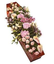 We did not find results for: Luxury Pink Casket Spray Mad Lilies Banstead Surrey