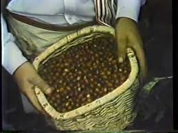 Maybe you would like to learn more about one of these? Juan Valdez Coffee Commercials 1970s 08 2021