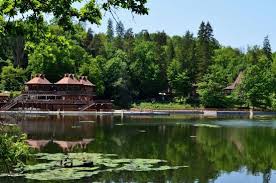 Noha mundus — joint master's degree program in international humanitarian action. Lacul Ursu Kurort Badeanstalt Bear Lake Sovata Reisebewertungen Tripadvisor