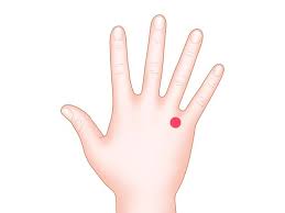 We did not find results for: 7 Druckpunkte Die Ruckenschmerzen Lindern Elle
