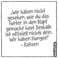 Zum weltkatzentag haben wir uns mal hingesetzt und genauer überlegt: 8 Spruche Zum Weltkatzentag Hafft De