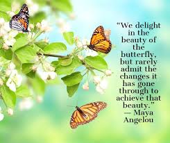 Maya angelou was a revered poet and author from america. Butterfly Quote Maya Angelou Wise Quote Of Life