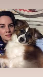 When your doggo is more photogenic than you are.