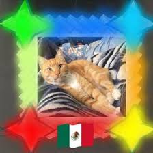 Maximo Ignacio (maxignacio7)