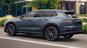 Image result for Storm Cloud 2025 Crown