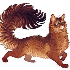 Giulialibard Instagram Fotos Und Videos Animal Drawings Warrior Cats Art Animal Art