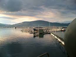 The company takes its role in contributing to sustainable aquaculture very seriously. Norway And Malaysia Sign Aquaculture Agreement Fishfarmingexpert Com