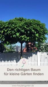 Pin Auf Garten
