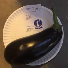 Involtini is the italian word for rolls and is a recipe consisting of a wrapper of sorts rolled around a filling. Italian Eggplant Information And Facts