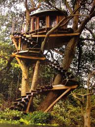 10 Of The Wildest Tree House Locations Tree House Diy Luxury Tree Houses Tree House Designs