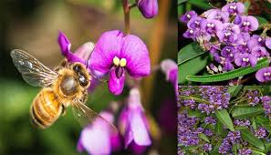 Maybe you would like to learn more about one of these? Pin On Online Flowers And Gifts To Australia