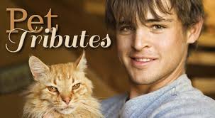 Maybe you would like to learn more about one of these? Pet Animal Cremation Services Delaware County West Chester Pa