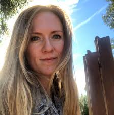 Help for bee swarm in Como?