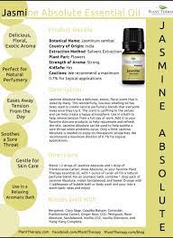 Jasmine Absolute Plant Therapy Plant Therapy Essential Oils Essential Oil Plants Plant Therapy Oils