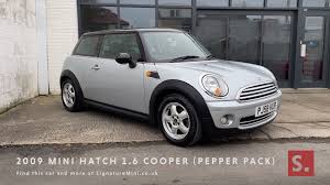 Image result for Pure Silver 2009 Mini
