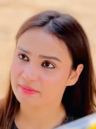 Driver Bus Video Polk Patrice Sanders