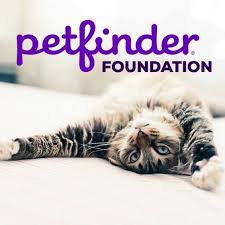 We have not received any updates yet from the shelter on when we will be able to reopen. Cache Humane Society Logan Utah Animal Shelter Adoption Center