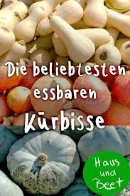 Kurbisse Das Gemuse Das Sich Fast Ein Jahr Lang Lagern Lasst Haus Und Beet In 2020 Kurbisse Essbare Kurbisse Kurbissorten
