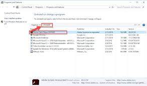 Download latest version of adobe flash player 11 app. How Can Totally Uninstall Adobe Flash Player With Simple Steps