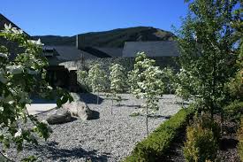 Large and showy, single, white flowers adorn the tree in spring and are followed by red berries in autumn which are great for attracting birds. Cornus Eddies White Wonder Arrowtown Dogwood Landscaping Landscape Design Dogwood Trees