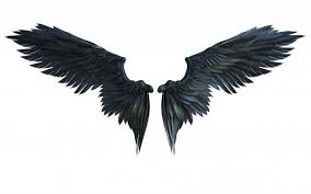 Premium Photo 3d Illustration Demon Wings Black Wing Plumage Isolated On White Background Demon Wings Angel Wings Drawing Wings Drawing