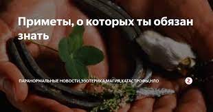 Значение подбрасывания куриной лапки: приметы и поверья
