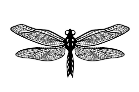 Download Dragonfly Svg Cut File By Creative Fabrica Crafts Creative Fabrica