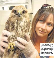 Wildlife rescue centre appeals for volunteers