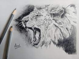 How to draw animals an easy drawing guide for starting. Do Realistic Drawing Of Any Animal By Ninad Dahake Fiverr