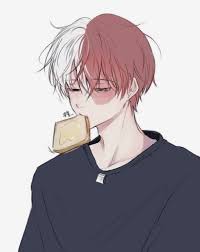Pin On Todoroki Shouto