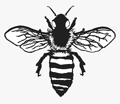 Seeking more png image bee emoji png,bee movie png,bee png? Vintage Bee Png Bee Clipart Black And White Transparent Png Transparent Png Image Pngitem