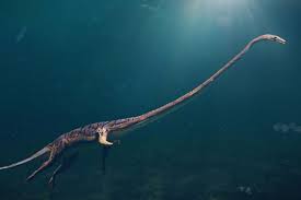 Image result for Tanystropheus