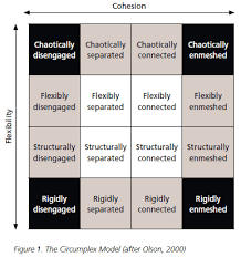 The limit on how many times a day. The Olson Circumplex Model A Systemic Approach To Couple And Family Relationships Aps