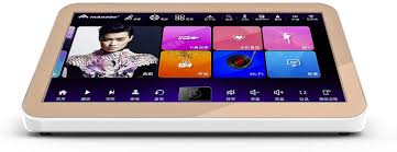 Karaoke takes the party to the next level by allowing your guests to sing their favorite tracks. Buy Inandon X5 Karaoke Player Karaoke New Gen Type Professional Entertainment Multi Function Ktv Machine With 19 5 Inch 4k Touch Screen 4t Or 6t Hdd Free Infinite Cloud Download Ai Function 4t