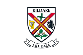 Kildare County Crest Handwaver Flags – Flags Ireland Prospect Design