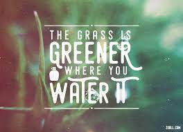 You can find more ways to build a fulfilling future and take action toward your potential at www.selfimprovementdailytips.com! Zooll Com Quote Of The Week The Grass Is Greener Where You Water It