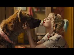 Birds Of Prey Official Hindi Trailer Youtube See more ideas about movies, latest hollywood movies, english drama movies. birds of prey official hindi trailer